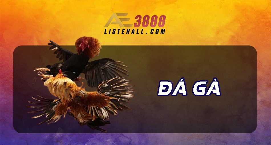 ĐÁ GÀ TRỰC TIẾP